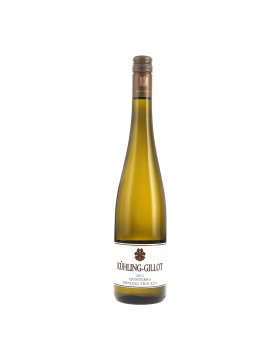 Riesling trocken Qvinterra 2021 KÜHLING-GILLOT (bio)